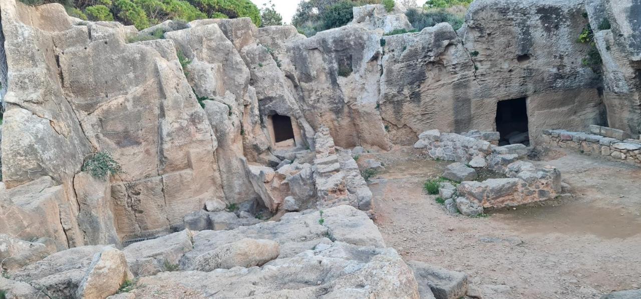 Bee Pafos
